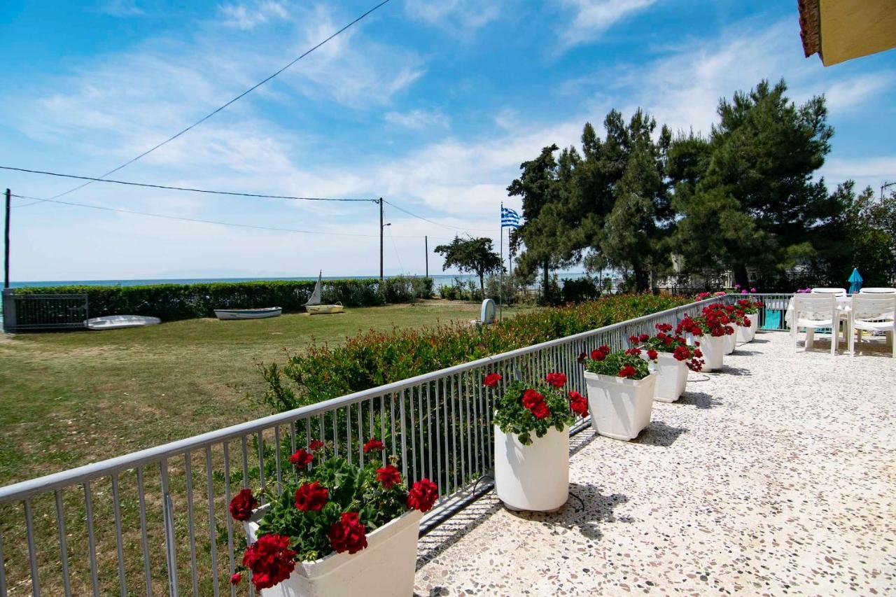 Clio Beach House By Travel Pro Services - Metochi Halkidiki Sozopoli Eksteriør bilde