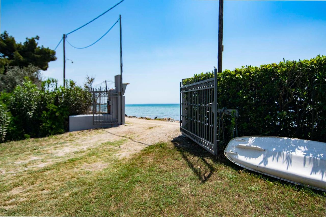 Clio Beach House By Travel Pro Services - Metochi Halkidiki Sozopoli Eksteriør bilde