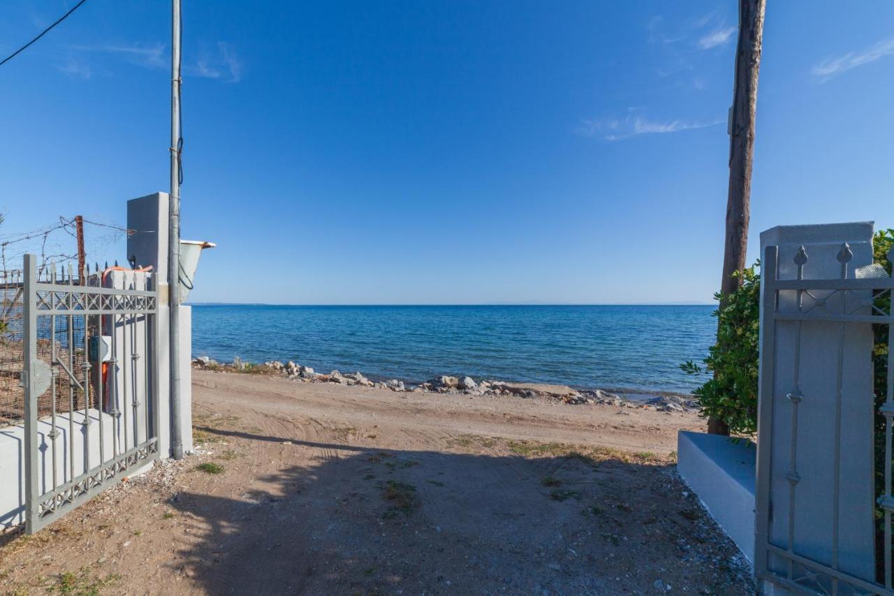 Clio Beach House By Travel Pro Services - Metochi Halkidiki Sozopoli Eksteriør bilde